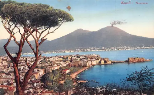Italien Napoli Neapel Gesamtansicht Berg Vesuv Vintage Postkarte
