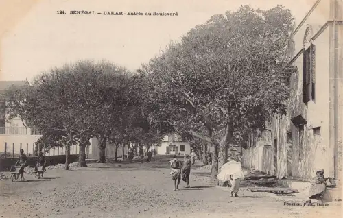 Senegal Dakar Entree du Boulevard Eingang Bäume Vintage Postkarte