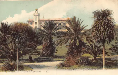Tunesien Tunis Jardin du Belvedere Gärten Vintage Postkarte