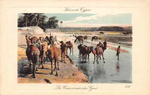 Tunesien Szenen und Typen Kamele passieren Fluss Gue Vintage Postkarte