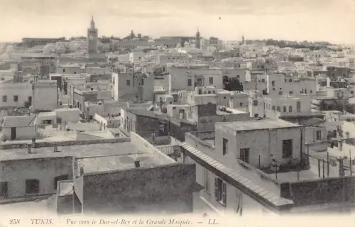 Tunesien Tunis Vue Vers ie Dar-el-Bey et Grande Moschee Vintage Postkarte