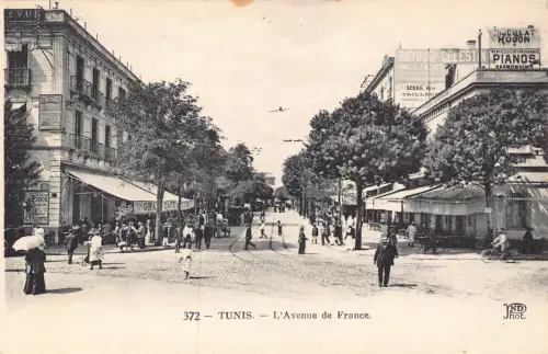 Tunesien Tunis L'Avenue de France Cafe Boyoud Celestin Schild Vintage Postkarte
