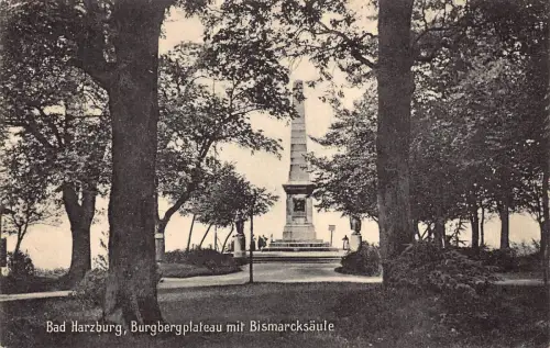 Deutschland 1908 Bad Harzburg Burgbergplateau Bismarcksaeule Vintage Postkarte