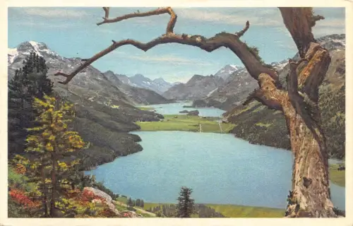 Schweiz Silvaplanersee und Silsersee Vintage Postkarte