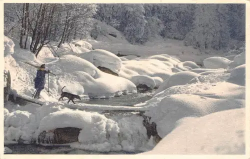 Schweiz Am Allenbach beim Adelbodensee Vintage Postkarte