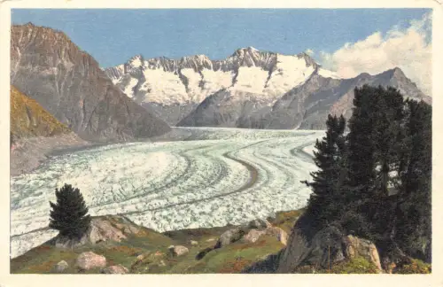 Schweiz Aletschwald auf Aletschgletscher Walliser Fiescherhoerner Postkarte