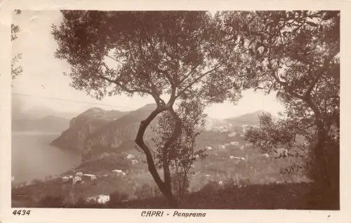 Italien 1923 Capri Panorama Vintage Postkarte
