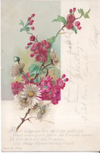 Grüße 1901 Gänseblümchen und rosa Blumen mit Glitzer Vintage Postkarte