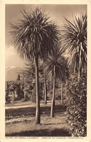 Schweiz Hotel du Parc Locarno Partie du Jardin Garten Vintage Postkarte