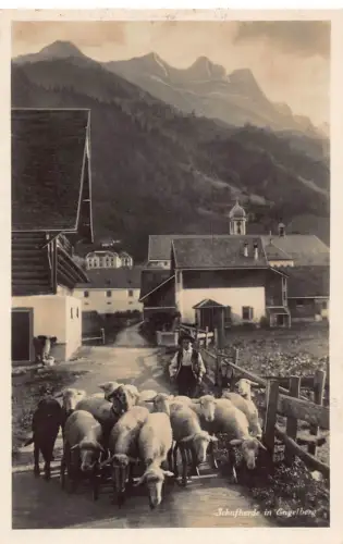 Schweiz Schafherde in Engelberg Schafherde Bauer Vintage Postkarte