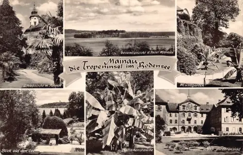 Deutschland 1959 Mainau Tropeninsel im Bodensee Garten Bananenbaum Schloss Postkarte