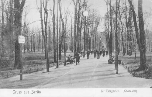 Deutschland Gruss aus Berlin Tiergarten Ahornsteig Garten Vintage Postkarte