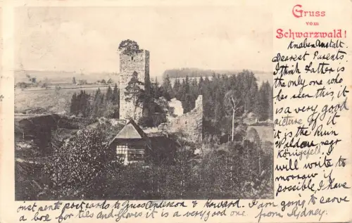 Deutschland Gruss vom Schwarzwald Burgruine Vintage Postkarte