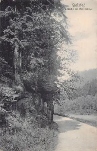 Deutschland 1915 Karlsbad Waldpartie bei Hansheilling Wald Postkarte