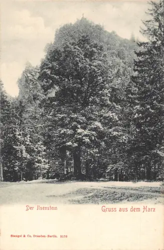 Deutschland Gruss aus Harz Der Jlsenstein Wald Vintage Postkarte