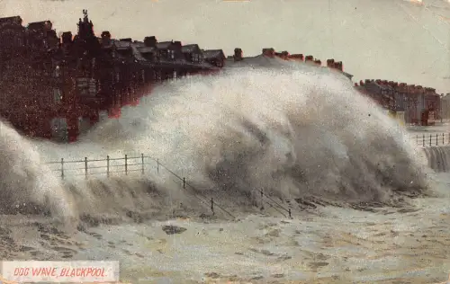 England 1909 Dog Wave Blackpool Vintage Postkarte