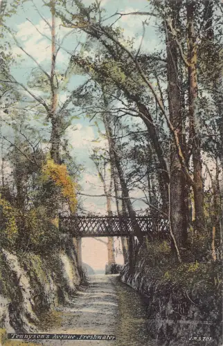 England Süßwasser Tennyson's Avenue Vintage Postkarte