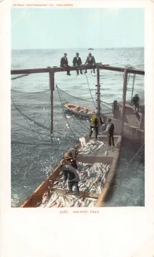 US Lachsfalle Fischer Boote Netz Vintage Postkarte