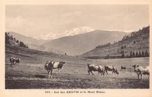 Frankreich Col des Aravis Et la Mont Blanc Rinder Kühe Vintage Postkarte