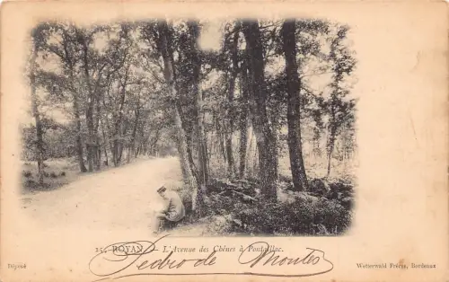 Frankreich 1901 Royan L'Avenue des Chenes eine alte Postkarte von Pontallac