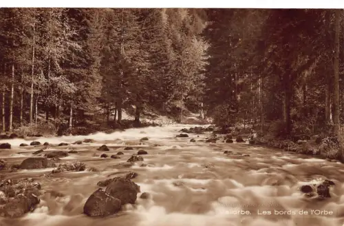 Schweiz Vallorbe Les Bords de l'Orbe Flusswald Vintage Postkarte
