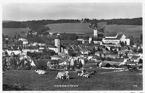 Schweiz Porrentruy Gesamtansicht Rinder Vintage Postkarte