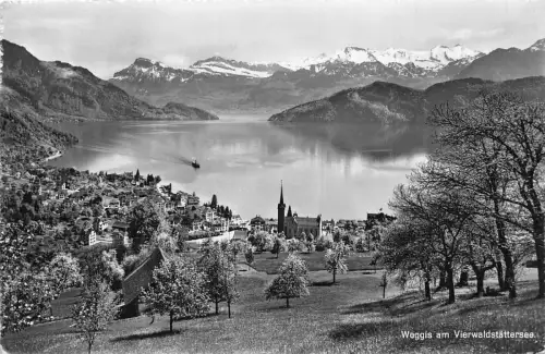 Schweiz 1957 Weggis am Vierwaldstättersee Vintage Postkarte