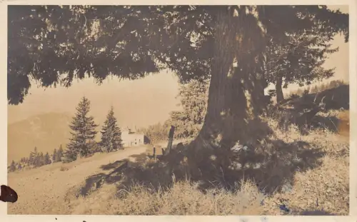 Schweiz Rigi Kaltbad Hotel Bellevue Vintage Postkarte