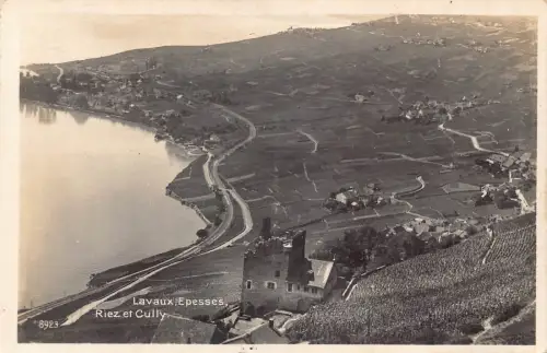 Schweiz Lavaux Epesses Riez et Cully Vintage Postkarte