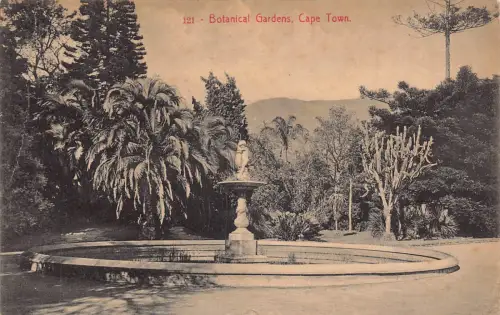 Südafrika 1913 Kapstadt Botanischer Garten Brunnen Vintage Postkarte