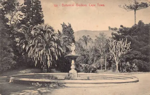 Südafrika 1912 Kapstadt Botanischer Garten Brunnen Vintage Postkarte