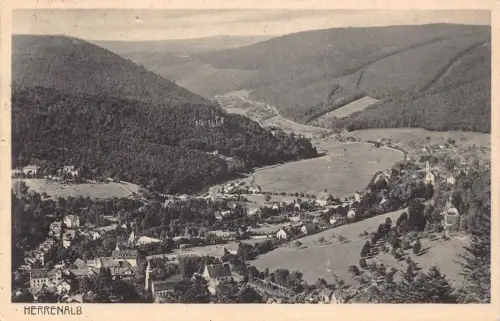 L323 Deutschland 1927 Herrenalb Panoramablick Berge Vintage Postkarte