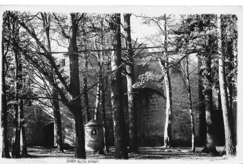 L323 Deutschland unbekanntes Foto echt wohl Trostberger Bäume Vintage Postkarte