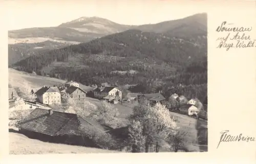 L322 Deutschland Somerau auf Arber Bayr Wald Berg Vintage Postkarte