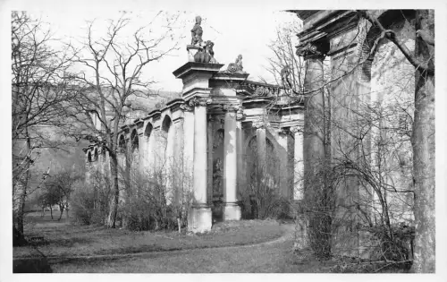 L320 Deutschland Weikersheim Orangerie Vintage Postkarte