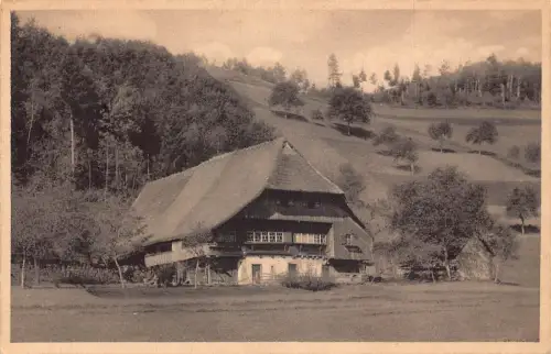 L320 Deutschland 1930 Bauernhaus i Rankach Bad Schwarzwald Eisemann Postkarte