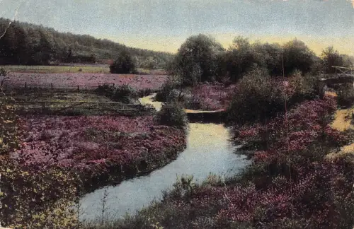 L323 Deutschland Lüneburger Heide Die Hue bei Hanftedt Fluss Blumen Postkarte