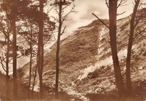 A080 Deutschland 1927 Stralsund Berg Wald Bäume Landschaft Sepia Postkarte