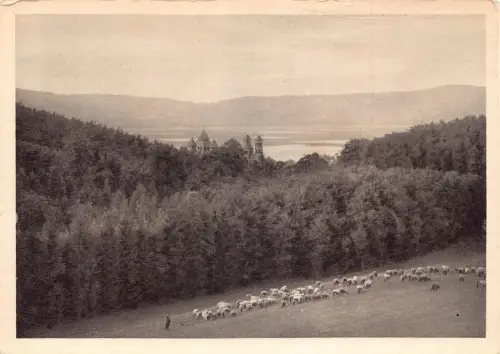A081 Deutschland Maria Laach Blick vom Nikolausberg Schafherde Wald Postkarte