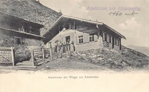 A075 Österreich Alpenrose am Wege zur Familie Edelhütte in aus Lodge Postkarte