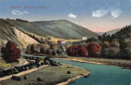 L010 Deutschland Saalfeld Blick ins Saalial Fluss Vintage Postkarte