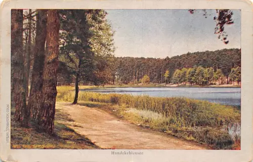 L010 Deutschland 1907 Fürstenwalde Hundekehlensee Vintage Postkarte