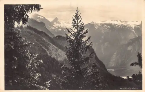 C048 Deutschland Zeitzgebirge und Wälder 1930 Vintage Postkarte