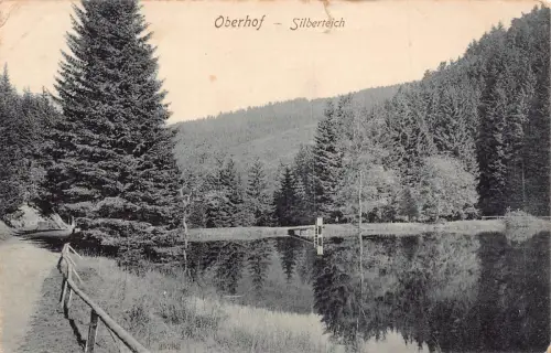 C048 Deutschland Oberhof Silberteich Wald Vintage Postkarte