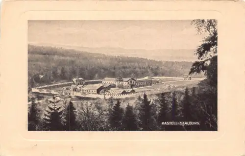 L171 Deutschland Schloss Kastell-Saalburg Vintage Postkarte