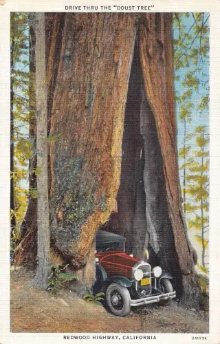 L007 Redwood Highway Calfornia 1936 Buick Automobil Vintage Postkarte