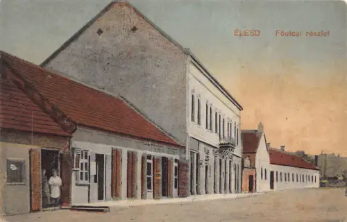 L515 Rumänien Bihor Alesd Elesd Hauptstraße Vintage Postkarte