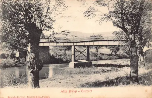 Südafrika 1906 Alice Bridge Estcourt Vintage Postkarte