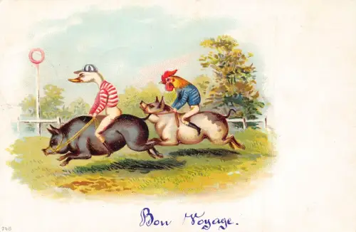 L348 Humanized Goose Drake and Rooster Riding Pigs 1902 Litho Comic Postkarte