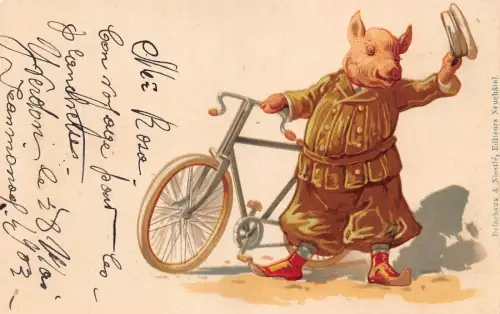L348 Humanisiertes Schwein Radfahrer Fahrrad 1903 Litho Comic Vintage Postkarte
